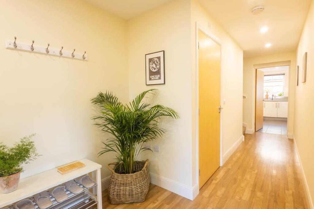 The Wellness Lodge- Gym, Table Tennis, Cinema, Parking And More! Bath Ngoại thất bức ảnh